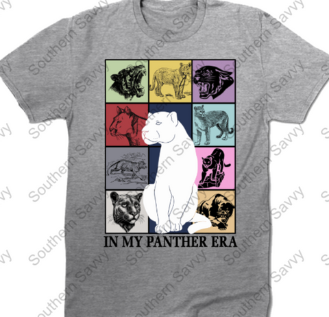 Panther Era